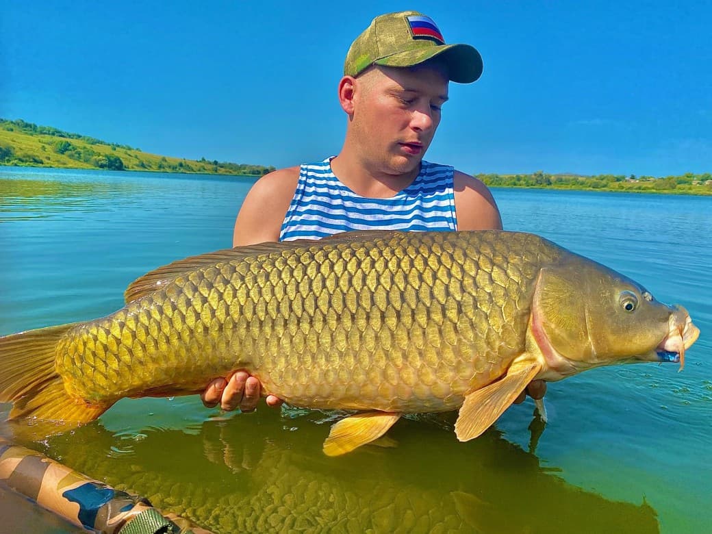 Рыба на крючке